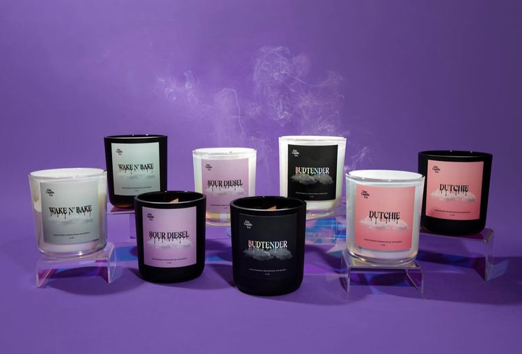 Holidaze Collection